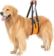Avont Dog Lift Harness - Upgraded Dog Sling for Large Dogs Hind Leg Support, Lifting Aid with Handle and Straps for Hip Dysplasia, Canines Lifter Support Harness for Elderly Dogs -Orange (M)