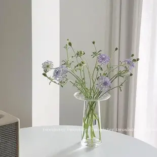 ins北歐風家用透明玻璃草帽花瓶水養花瓶擺件創意客廳插花干花瓶