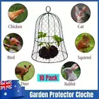 10Pcs Chicken Wire Cloches Plant Sturdy Cover Garden Plant Protector Cover AU