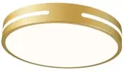 Modern Brushed Gold Flush Mount Ceiling Light Mid-Century LED Ceiling Light