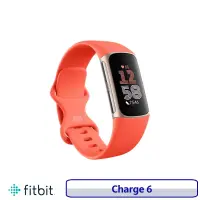 在飛比找博客來優惠-Fitbit Charge 6 進階運動健康智慧手環 心率追