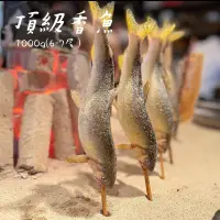 在飛比找蝦皮購物優惠-🐉鮮龍水產🐉宜蘭高山母香魚 6p黃金爆卵母香魚/7p公香魚