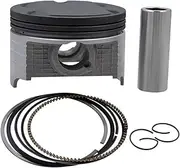 Size STD ~+150 73mm ~74.5mm Motorcycle Parts Piston Set Rings Clip Kit For AN250 1998-2006 DR250 1990-1995(74 (Oversize 1.0))