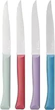 Opinel Bon Appetit+ Box Set of 4 Table Knives Glam (Pigeon Blue/Purple/Sage/Red Garnet)