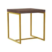 Shaan Walnut and Gold End Table