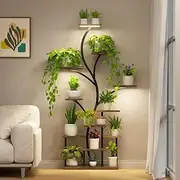 Plant Stand Indoor with Grow Lights, 10 Tiered Metal Plant Shelf for Indoor Plants Multiple, 63" Tall Corner Plant Stand Display Flower Holder, Plants Rack for Home Decor Living Room Patio Balcony