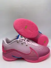 Nike Lebron XXII SN (GS) Pink Foam Photo Blue (HV8617 600) Size 5Y