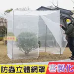 訂製立體防蟲網罩 60目 客製化 果樹蔬菜大棚養殖養雞場 防鳥網罩 紗網 防果蠅 防蟲 防蚊 防蠅 網罩 防鳥網 軟網