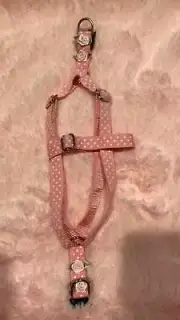 pink polka step in harness dog