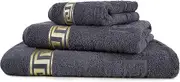 Arle-Living Luxury Medusa Guest Towels 30 x 50 cm in Pack of 4 Finest Cotton/High Pile Terry Cloth with Medusa Flat Embossing and Golden Medusa Border (Anthracite/Anthracite, Pack of 4 Guest Towels 30