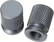 jininghaibo Motorcycle Wheel Tire Rim Valve Stem Caps Covers Compatible with CBR 125R 954 600 F4i 650F 650R 1100XX 1000F CBR 600RR 1000RR(Titanium)