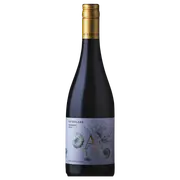 2024 Astrolabe Kekerengu Sauvignon Blanc - Buy Online | The Wine Collective Marketplace