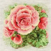 Cross-stitch kit Riolis 2122 Begonia