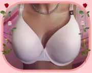 40DD Light Blush Pink Lace Wings Victorias Secret Lightly Lined Demi UW Bra