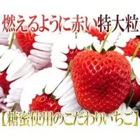 在飛比找PChome商店街優惠-糖蜜日本熊本草莓免運喔