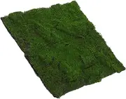 Toyvian Artificial Grass Wall Panel DIY Greenery Backdrop Realistic Moss Turf for Decor