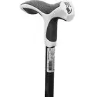 FDI walking stick