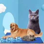 Pet Dog Sleeping Bed Cooling Gel Non-Toxic Mat Self Cooling Cushion Puppy Pad