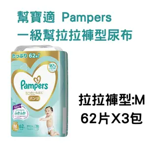 幫寶適 PAMPERS 一級幫 日本境內增量版紙尿褲 拉拉褲型 S-XL x3包/箱 現貨 廠商直送