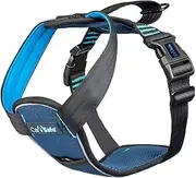 Company of Animals CarSafe Dog Crash Tested Harness, Blue, Medium