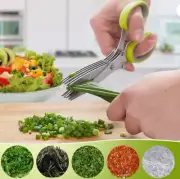 Herb Scissors Chop Herbs Easily with 5 Blade Scissors Onion Cutter Kitchen Tool.