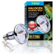 Exo Terra Halogen Basking Spot Lamp - 75 Watt (PT2182)