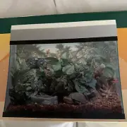 ZOO MED COMBINATION TERRARIUM REPTILE LIGHT HOOD 24" Sealed