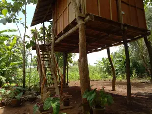 錫吉里耶阿里亞樹屋旅館Sigiri aliya tree house