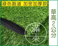 在飛比找Yahoo!奇摩拍賣優惠-加密加厚款 草高2CM【奇滿來】綠色跑道 彩虹跑道 仿真草坪