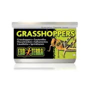 Exo Terra Canned Grasshoppers 34g Reptile Lizard Food (PT1950)