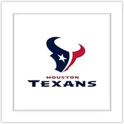 Trends International Gallery Pops NFL Houston Texans - Primary Mark Logotype Wall Art, White Framed Version, 12'' x 12''