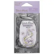 John's Blend Disney Princess Air Freshener - Rapunzel Musk 1pc