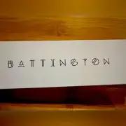 Battington Beauty Powder and Contour Brush Set NWT