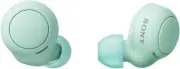 Sony WF-C500 Truly Wireless In-Ear Bluetooth EAR BUDS Green NEW from Japan