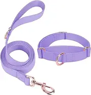 Soft Leather Martingale Dog Collar - Adjustable Rose Gold Limited Slip Collars [Easy to Clean], Stylish Durable Heavy Duty Nylon No Pull Training Collar for Small Medium Large Dogs (M, Set Purple)