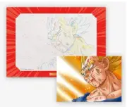 Dragon Ball Z Majin Vegeta Cel Art Sheet Akira Toriyama New licensed copy Japan