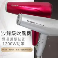 在飛比找ETMall東森購物網優惠-達新牌1200W負離子專業吹風機 TS-2390