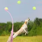 Tennis Ball Thrower Launcher Dog Toy Chucker Fetch Stick Colored Lightweight New
