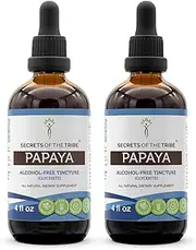 Papaya Alcohol-Free Liquid Extract, Papaya (Carica Papaya) Dried Leaf Tincture Supplement (2x4 FL OZ)