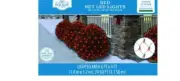 Holiday Time 150-Count Red LED Net Christmas Lights Green Wire, 24 SQ FT