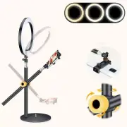 LINCO Overhead Phone Mount 10" Ring Light Desk Stand Camera Mount Sand for Video