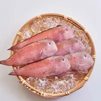 在飛比找鮮拾優惠-【凍凍鮮】 澎湖野生紅新娘魚 200g