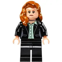 在飛比找蝦皮購物優惠-LEGO 樂高 超級英雄人偶 超人女友 sh225 Lois