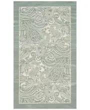 Nourison Framework Paisley 27" x 45" Accent Rug.NEW