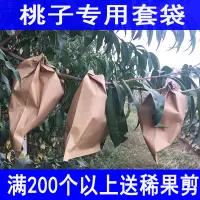 在飛比找樂天市場購物網優惠-防鳥網 果樹網罩 桃子套袋專用袋黃桃袋桃子紙袋黃桃水蜜桃蟠桃