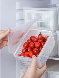 在飛比找樂天市場購物網優惠-楓林宜居 日本瀝水保鮮盒收納盒蔬菜青菜食品級冷凍專用儲藏盒子