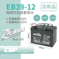 在飛比找蝦皮商城優惠-【CSP】EB39-12 銀合金膠體電池12V39Ah電動車