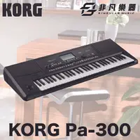 在飛比找樂天市場購物網優惠-【非凡樂器】KORG Pa300 伴奏編曲電子琴 / 公司貨