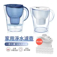 在飛比找momo購物網優惠-【ANTIAN 濾芯13入】家用廚房淨水除垢濾水壺 自來水濾