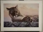 Forty Winks Jan Martin Mcguire Signed Limited